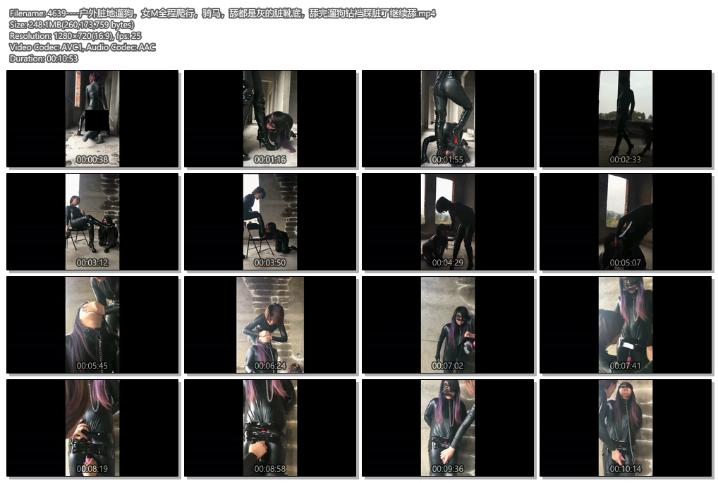 4639----户外脏地遛狗，女M全程爬行，骑马，舔都是灰的脏靴底，舔完遛狗钻裆踩脏了继续舔.jpg