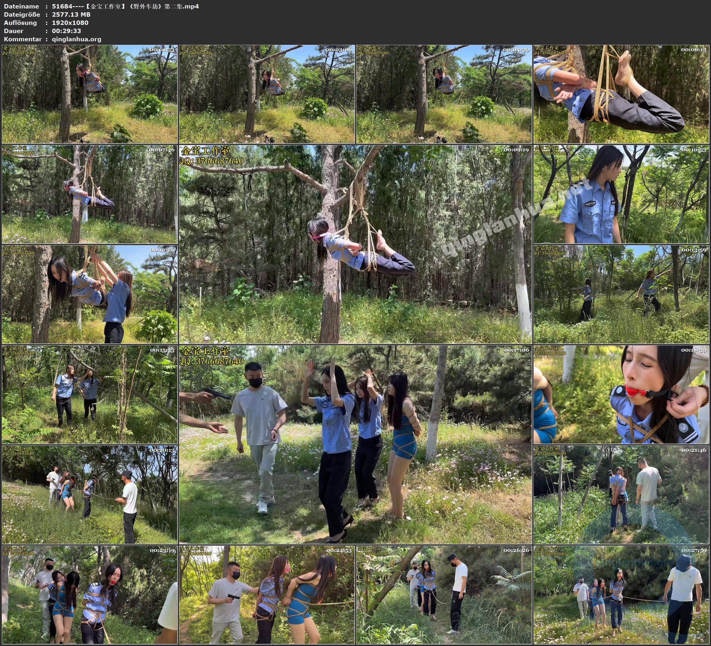 51684----【金宝工作室】《野外车劫》第二集.jpg