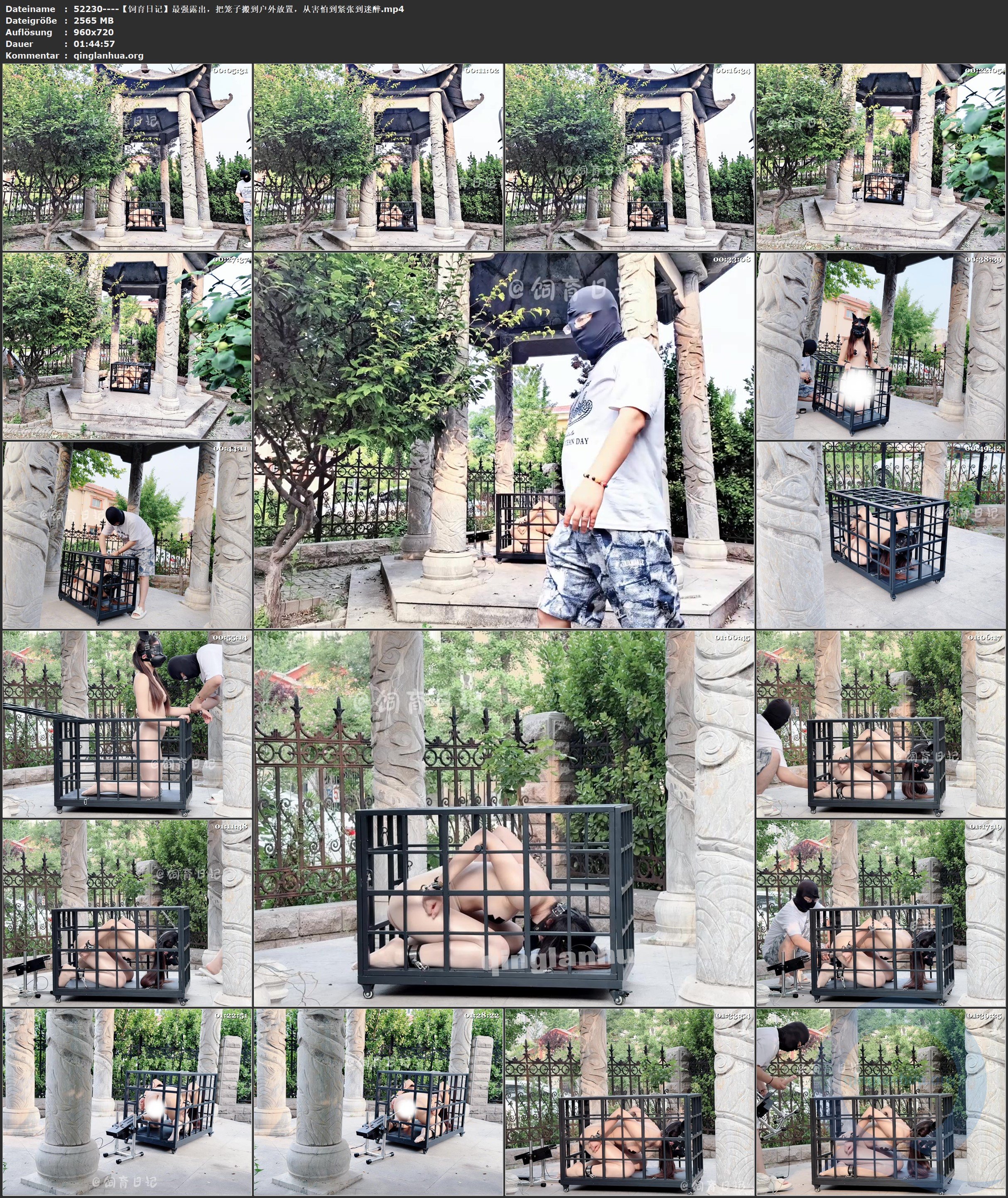 52230----【饲育日记】最强露出，把笼子搬到户外放置，从害怕到紧张到迷醉.jpg
