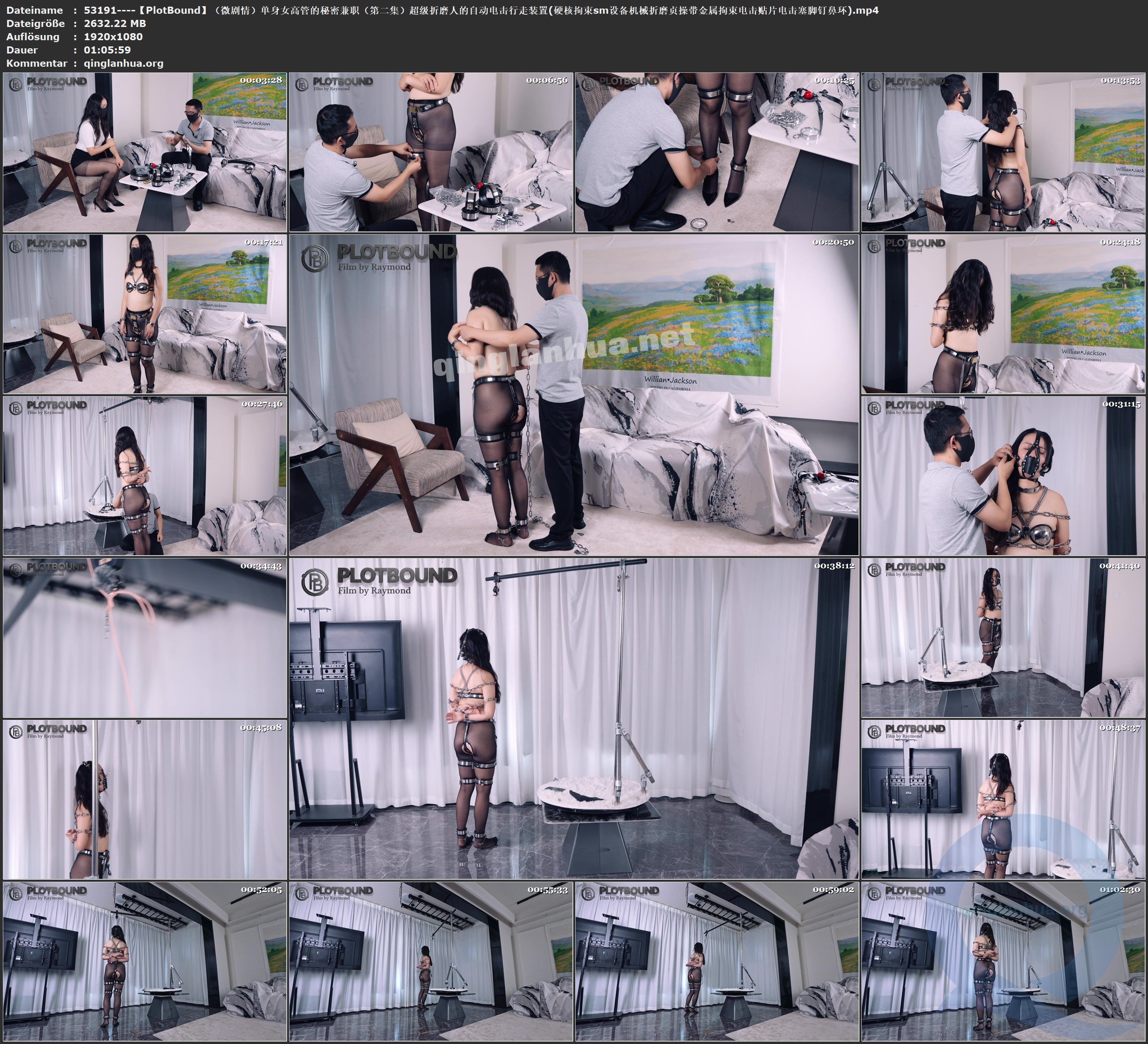 53191----【PlotBound】（微剧情）单身女高管的秘密兼职（第二集）超级折磨人的自动电.jpg
